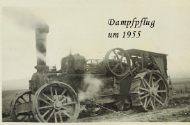 Dampfpflug